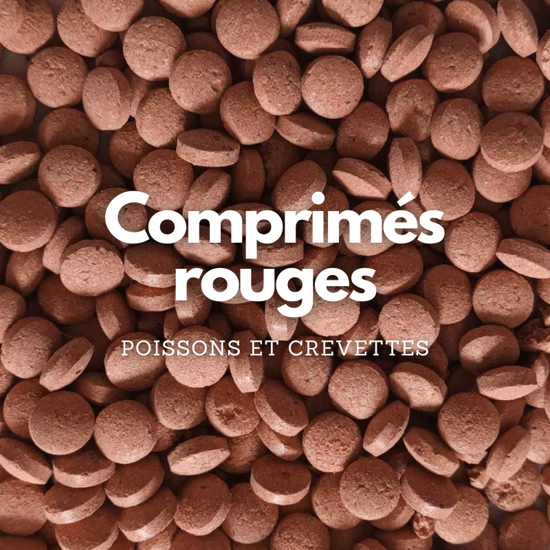 Combien nourrir vos poissons ?